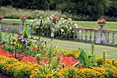 HOT SUMMER BED AT DYFFRYN GARDENS WALES,  WITH EUCOMIS,  RICINUS,  CANNAS,  TAGETES AND PELARGONIUMS,