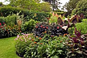 HOT SUMMER BORDER AT DOROTHY CLIVE GARDEN,  SHROPSHIRE,  JULY