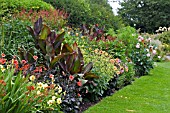 MIXED LATE SUMMER BORDER AT DOROTHY CLIVE GARDEN,  WILLOUGHBY