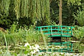 JAPANESE BRIDGE IN MONETS GARDEN,  GIVERNY,  FRANCE,  AUGUST