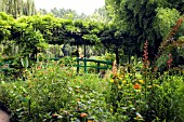 VIEW OF JAPANESE BRIDGE,  MONETS GARDEN,  GIVERNY,  FRANCE,  AUGUST