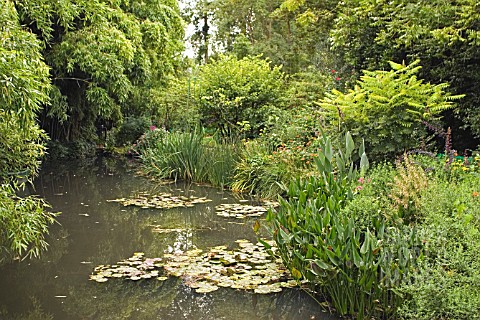 WATERLILY_POND_AT_MONETS_GARDEN__GIVERNY__FRANCE__AUGUST