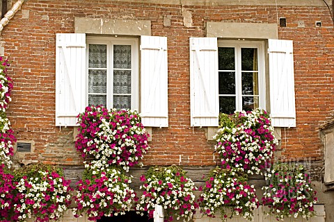 WINDOW_BOXES_AT_LA_ROCHE_GUYON__FRANCE