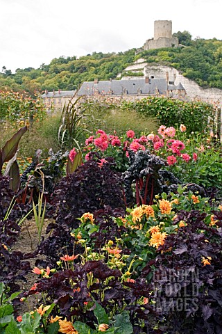 HOT_BORDER_IN_FRONT_OF_CHATEAU_AT_LA_ROCHE_GUYON__FRANCE__AUGUST