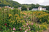 FLOWER BORDER AT LA ROCHE GUYON,  FRANCE,  AUGUST