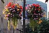 HANGING BASKETS AT LLANGOLLEN,  WALES,  SEPTEMBER