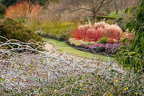 WINTER_GARDEN