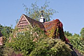 ROOF WITH PARTHENOCISSUS AND WEATHER VANE,  SEPTEMBER