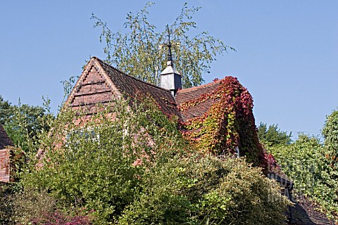 ROOF_WITH_PARTHENOCISSUS_AND_WEATHER_VANE__SEPTEMBER