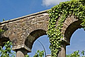 IVY CLAD ARCH,  DYFFRYN GARDEN,  WALES