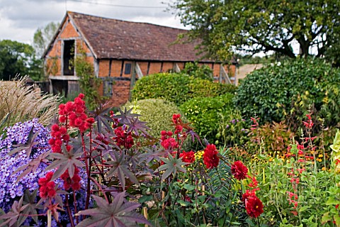 MIXED_LATE_SUMMER_BORDER__EASTGROVE_COTTAGE__WORCESTERSHIRE__SEPTEMBER