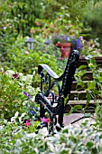 BENCH IN COTTAGE GARDEN,  SEPTEMBER