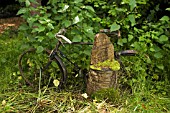 RUSTY BIKE AND WOODEN SEAT AMONGST NETTLES