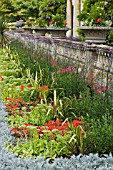 VIEW OF BORDER AND BALUSTRADE AT DYFFRYN GARDEN,  WALES,  JULY