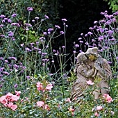 STATUE AMONGST PINK ROSES AND PURPLE VERBENA BONARIENSIS