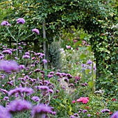 VIEW THROUGH HEDGE TO COTTAGE GARDEN