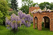 WISTERIA AND FOLLIES AT STONE HOUSE COTTAGE GARDEN,  KIDDERMINSTER
