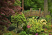 JAPANESE GARDEN AT WINTERBOURNE BOTANIC GARDEN,  BIRMINGHAM UNIVERSITY,  MAY