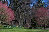 BATSFORD ARBORETUM SPRING COLOUR