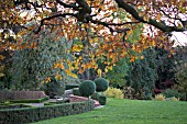 VIEW OF BIRMINGHAM BOTANICAL GARDENS,  NOVEMBER