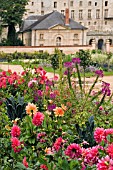 DAHLIAS IN MIXED BORDER AT ROCHE GOYAN,  FRANCE,  AUGUST