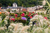 PENNISETUM VILLOSUM IN MIXED BORDER AT ROCHE GOYAN,  FRANCE,  AUGUST