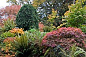 AUTUMN COLOUR AT HERGEST CROFT,  HEREFORDSHIRE,  OCTOBER