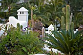 EXOTIC ROOF GARDEN,  JARDIN TROPICAL,  TENERIFE,  MARCH