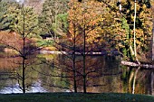 VIEW ACROSS THE LAKE,  KEW,  DECEMBER