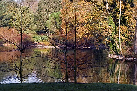 VIEW_ACROSS_THE_LAKE__KEW__DECEMBER