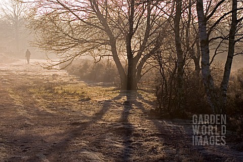 VIEW_OF_SUTTON_PARK__IN_THE_EARLY_MORNING_MIST