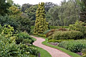 CAMBRIDGE BOTANICAL GARDENS,  WINTER GARDEN IN AUGUST