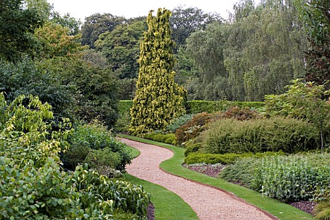 CAMBRIDGE_BOTANICAL_GARDENS__WINTER_GARDEN_IN_AUGUST