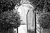 MONOCHROME VIEW THROUGH GATE AT OXFORD BOTANICAL GARDENS