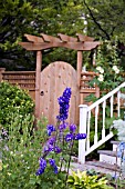 DELPHINIUM IN COTTAGE STYLE GARDEN