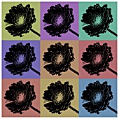 GERBERA SILHOUETTE ANDY WARHOL STYLE (MANIPULATED)