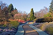 FROSTY WINTER GARDEN AT CAMBRIDGE BOTANICAL GARDENS