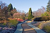 FROSTY WINTER GARDEN AT CAMBRIDGE BOTANICAL GARDENS