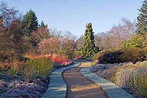 FROSTY_WINTER_GARDEN_AT_CAMBRIDGE_BOTANICAL_GARDENS