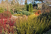 WINTER GARDEN AT CAMBRIDGE BOTANICAL GARDENS,  FEBRUARY