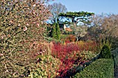 WINTER GARDEN AT CAMBRIDGE BOTANICAL GARDENS,  FEBRUARY