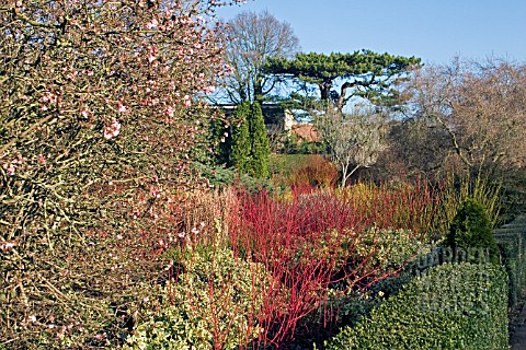 WINTER_GARDEN_AT_CAMBRIDGE_BOTANICAL_GARDENS__FEBRUARY