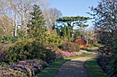 WINTER GARDEN AT CAMBRIDGE BOTANICAL GARDENS,  FEBRUARY