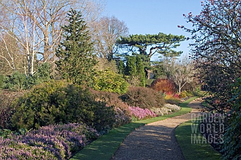 WINTER_GARDEN_AT_CAMBRIDGE_BOTANICAL_GARDENS__FEBRUARY