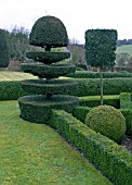 TOPIARY AT FELLEY PRIORY GARDEN,  NOTTINGHAMSHIRE