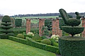 TOPIARY AT FELLEY PRIORY GARDEN,  NOTTINGHAMSHIRE