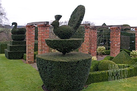 TOPIARY_AT_FELLEY_PRIORY_GARDEN__NOTTINGHAMSHIRE