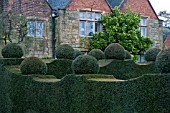 TOPIARY AT FELLEY PRIORY GARDEN,  NOTTINGHAMSHIRE