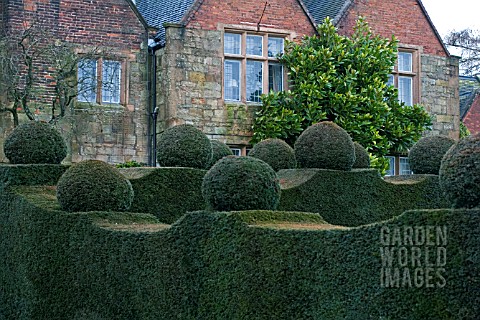 TOPIARY_AT_FELLEY_PRIORY_GARDEN__NOTTINGHAMSHIRE