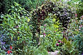 COTTAGE GARDEN VIEW THROUGH ARCH,  SEPTEMBER